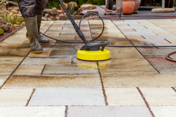 Animal Enclosure Cleaning in Springfield, OR