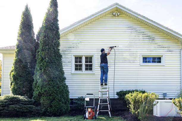 Best Building Exterior Washing  in Springfield, OR