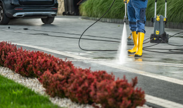  Springfield, OR Pressure Washing Pros